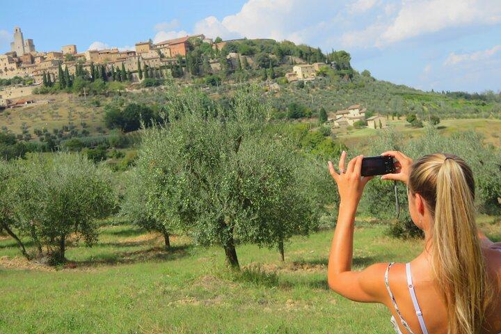 Siena, San Gimignano, Tuscany, Lunch & Wine Tasting - Small Group