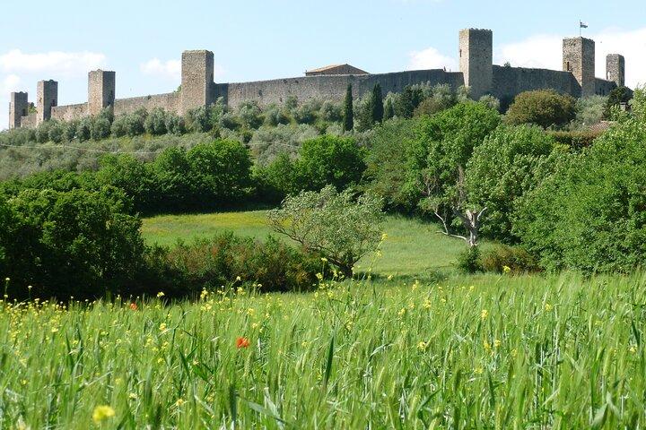 Siena, San Gimignano, Tuscany, Lunch & Wine Tasting - Small Group