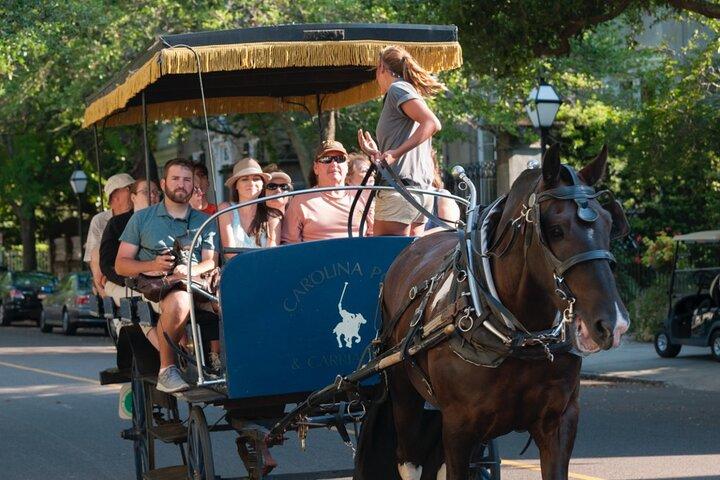 Charleston Horse & Carriage Historic Sightseeing Tour