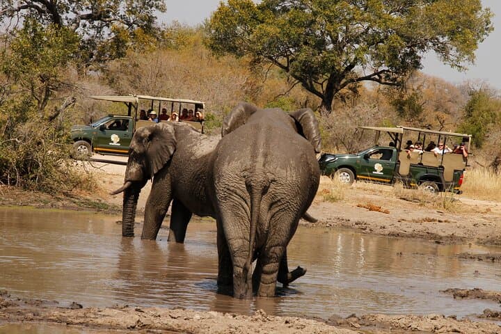 Kruger National Park sunrise Morning Private safari