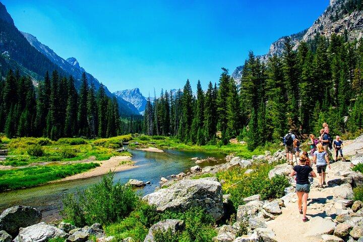 Luxury Private Half-Day Grand Teton National Park Tour