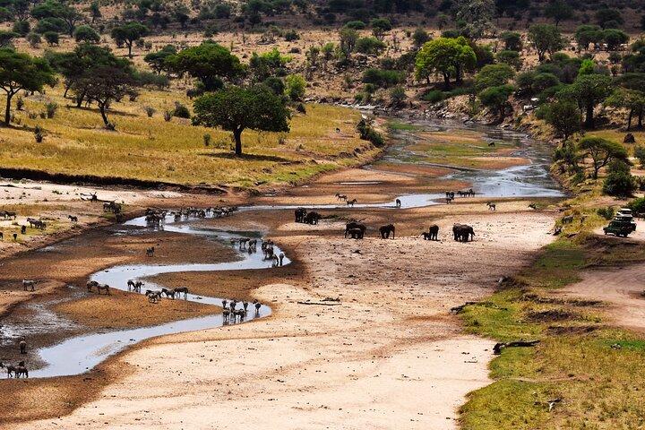 6 Days Luxury Safari Tarangire, Ngorongoro, Serengeti and Manyara