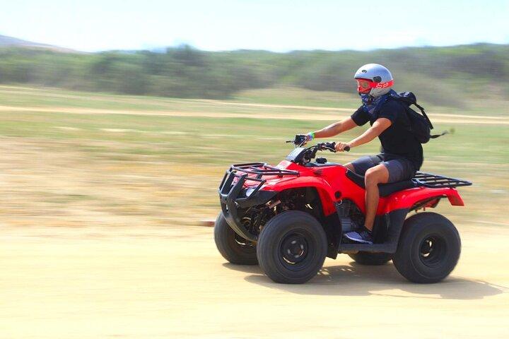 Cactus Combo Combine two of your favorite desert tours