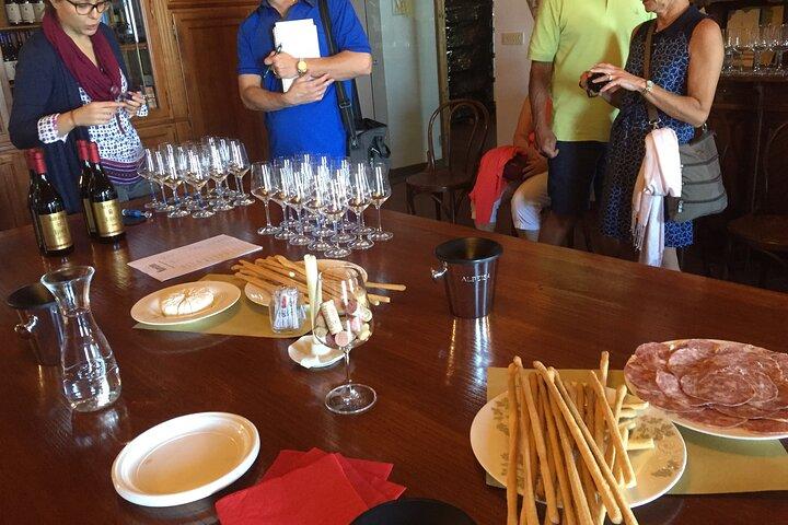 Truffle hunt and Barolo wine tasting