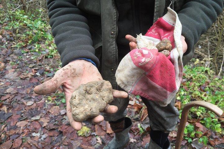 Truffle hunt and Barolo wine tasting