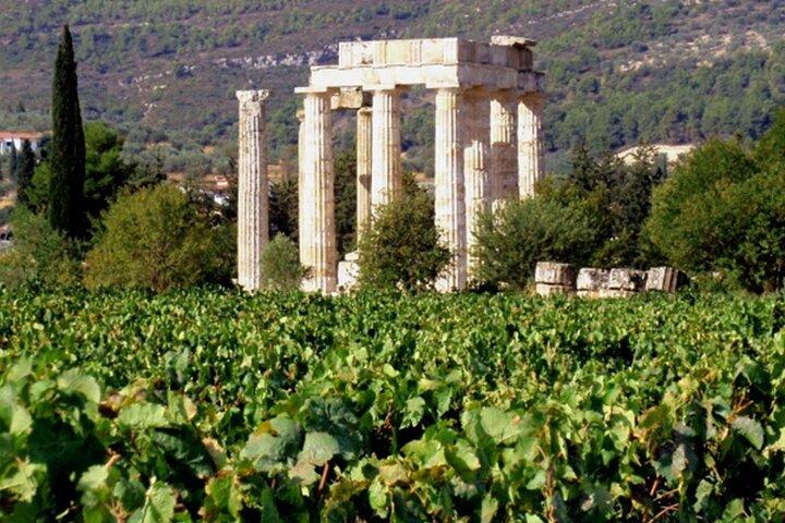 Ancient Nemea Private Full-Day Tour from Athens with Wine Tasting