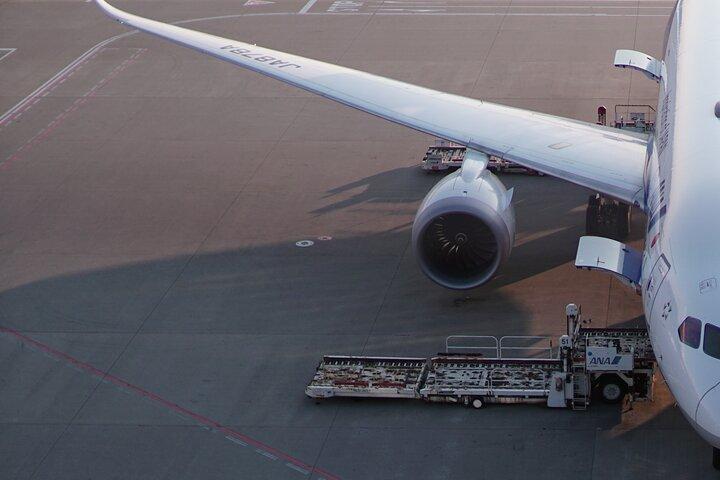 Private Transfer from Cairo Airport to Your Hotel in Cairo