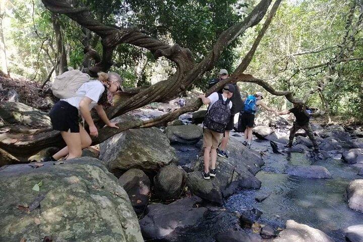 Trekking Knuckles Mountain Range Excursion (4 Days, 3 Nights)