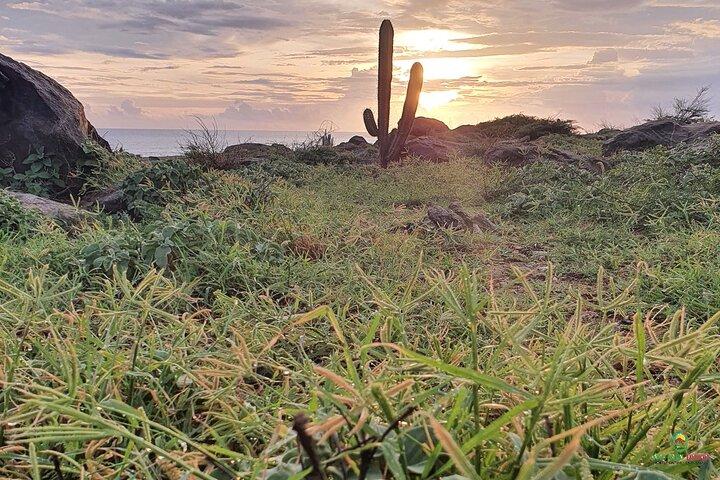 Private Guided Beach Meditation & Hike + Transfer