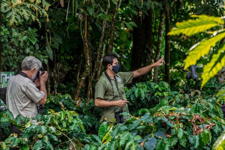 Sloth Watching Tour in La Fortuna - Wildlife Experience
