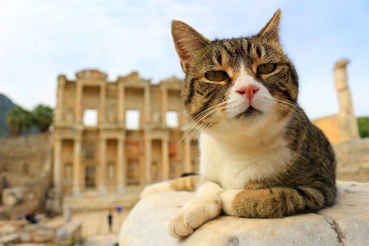 BEST SELLER Small Group Ephesus Tour from Izmir