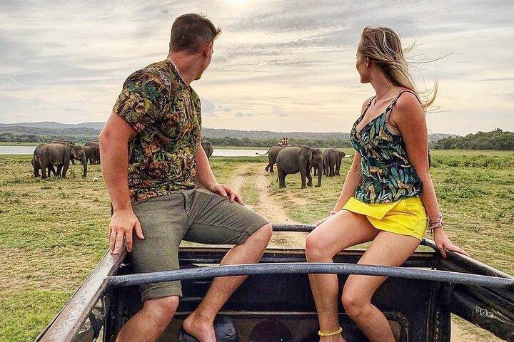 10 Days Sri Lanka Private Tours H/B accommodations