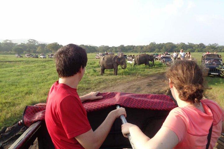 Wildlife and Nature Tour (18 Days , 17 Nights)