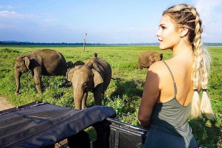 Wildlife and Nature Tour (18 Days , 17 Nights)