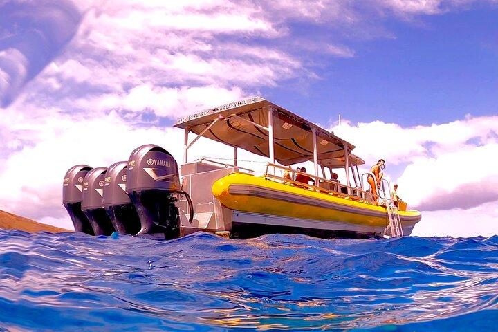 Molokini Crater Snorkel Adventure and Turtle Cove - High Quality