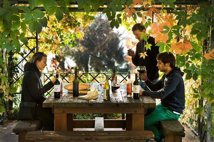 Wine Tour of two Chianti wine estates on the hills of Florence