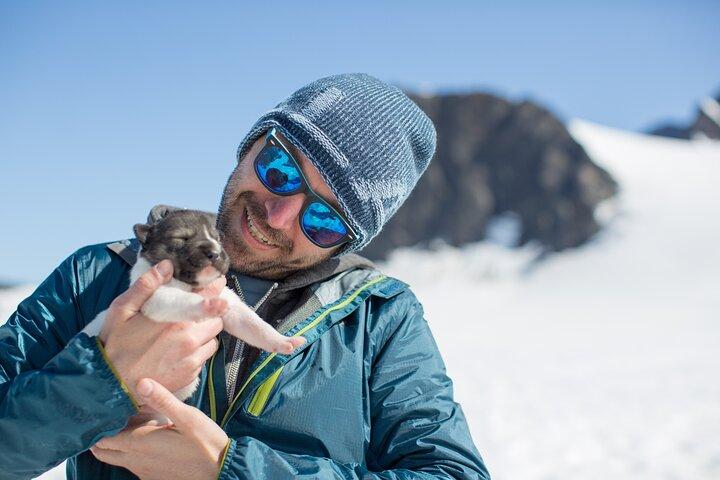 Helicopter Glacier Dogsled + Knik Glacier Landing- Anchorage Area