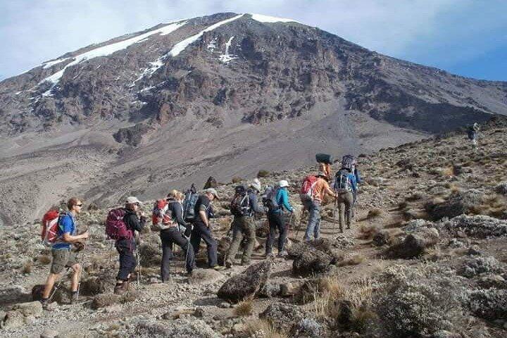 2-Day Short Kilimanjaro Trek