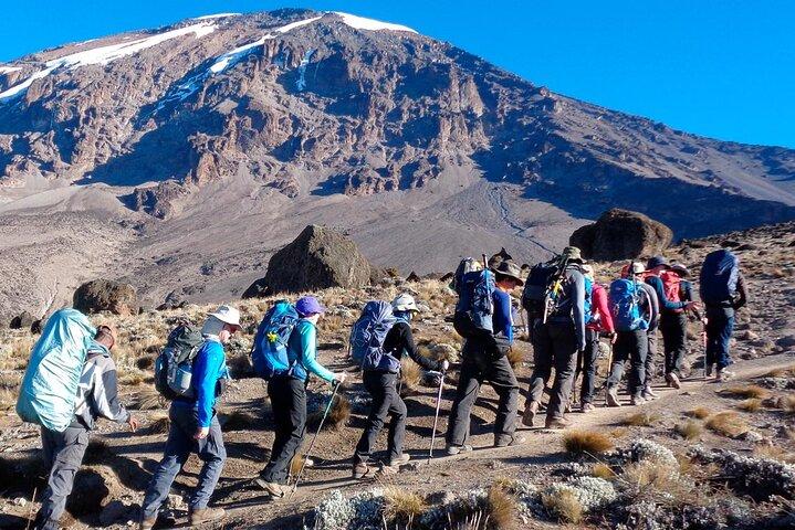 2-Day Short Kilimanjaro Trek