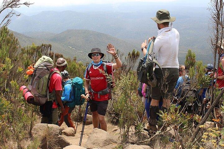 2-Day Short Kilimanjaro Trek