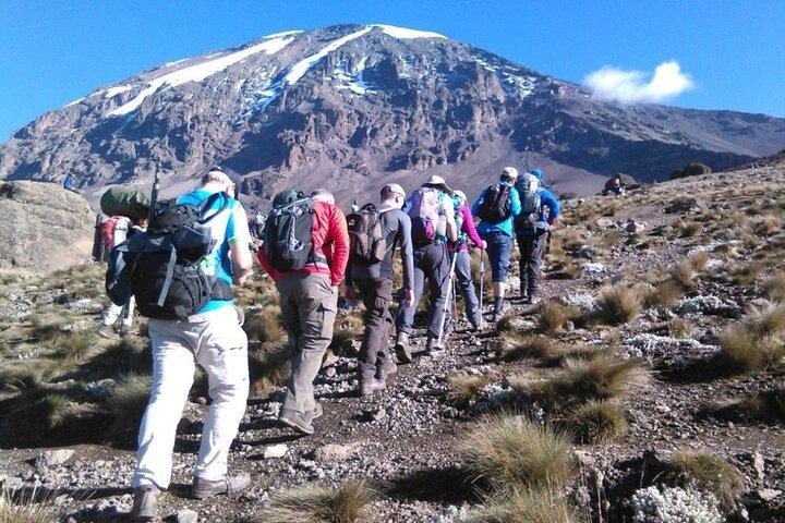 2-Day Short Kilimanjaro Trek