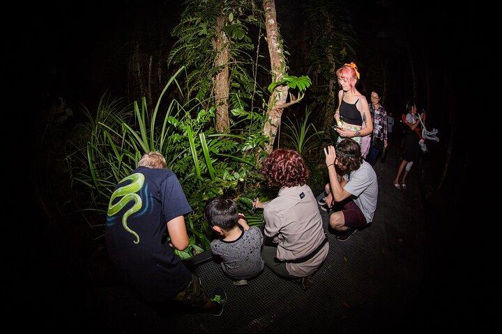 Cairns: Night Wildlife Walk in the Botanic Gardens
