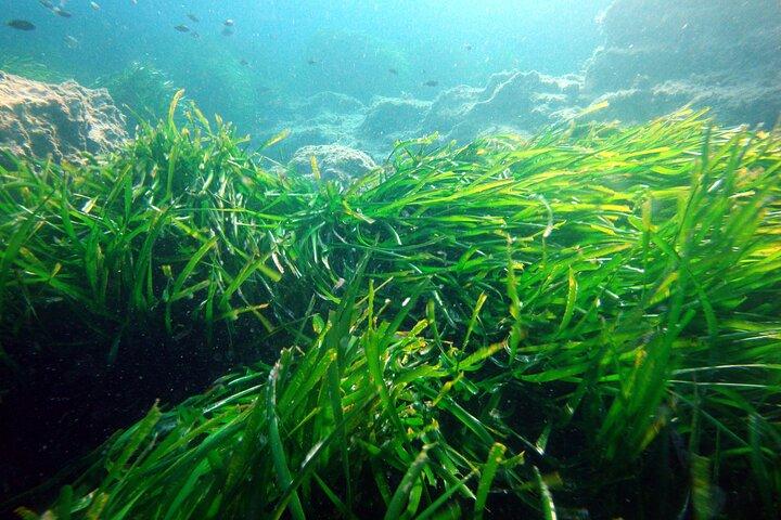 Small Group Diving Adventure in Menorca
