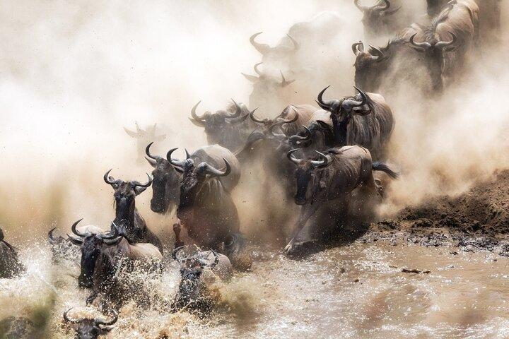 3-Day Private Safari in Maasai Mara from Nairobi
