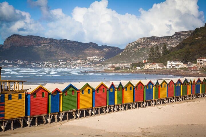 Table Mountain, Penguins Colony and Cape of Good Hope Small Group Shared Tour