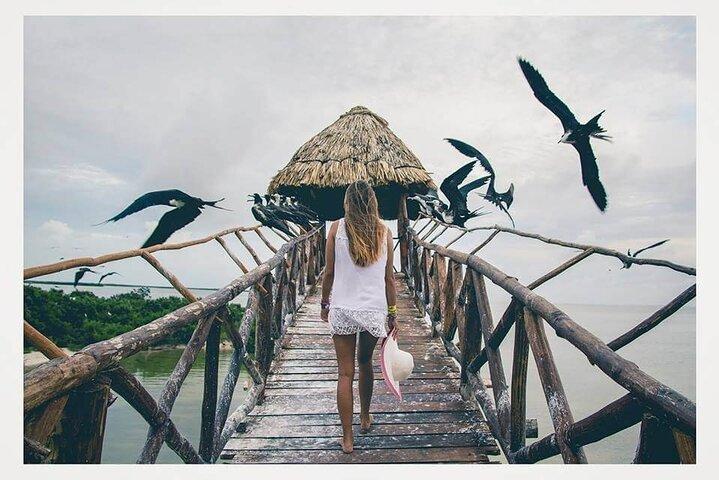 Boat Tour of Three Islands in Holbox with Transportation