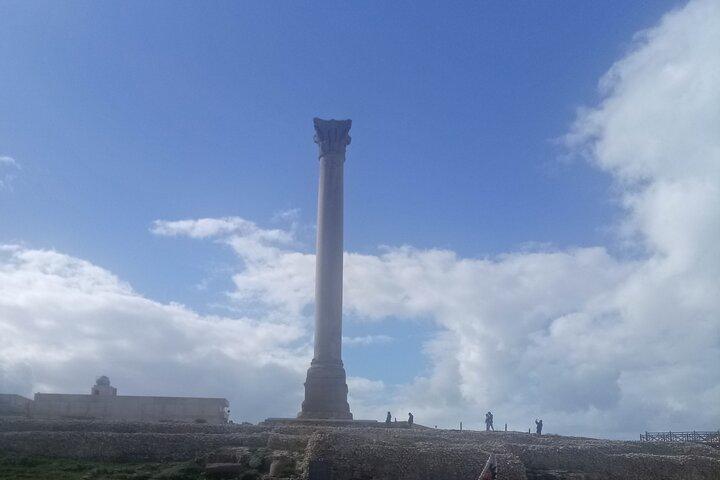 Cool Private Tour to Alexandria
