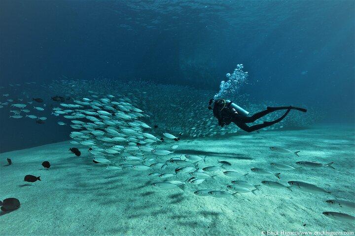 3-Tank Scuba in Marine Reserve and Corridor for Certified Divers