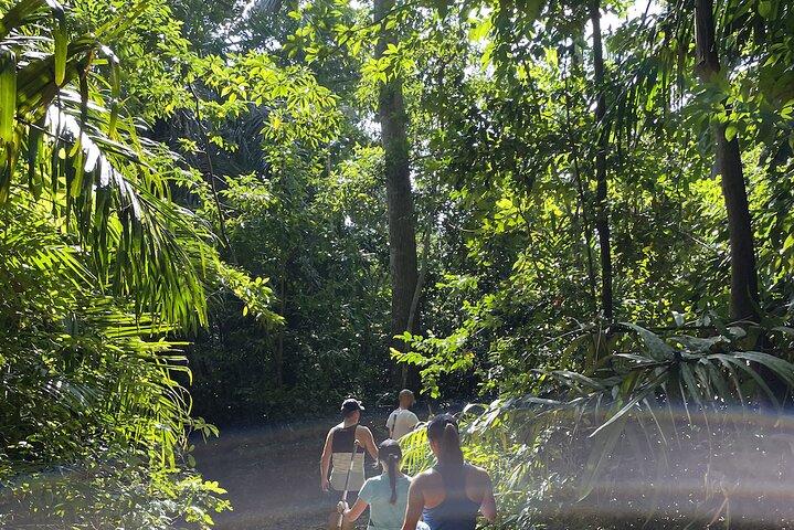 Private Hiking in Masingini Forest from Stone Town