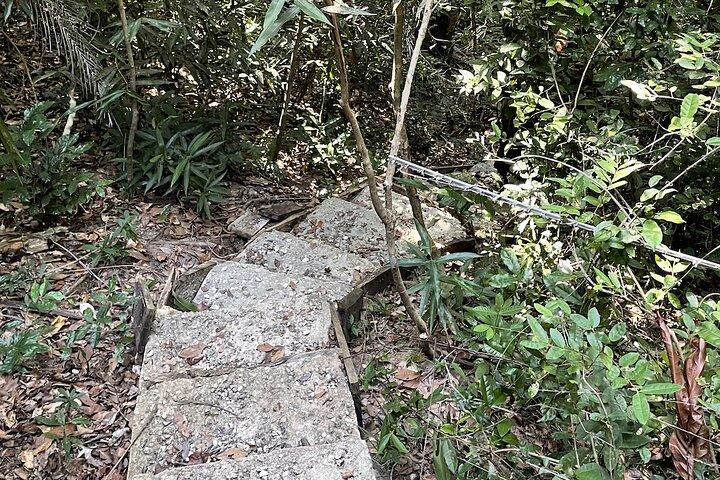 Private Hiking in Masingini Forest from Stone Town