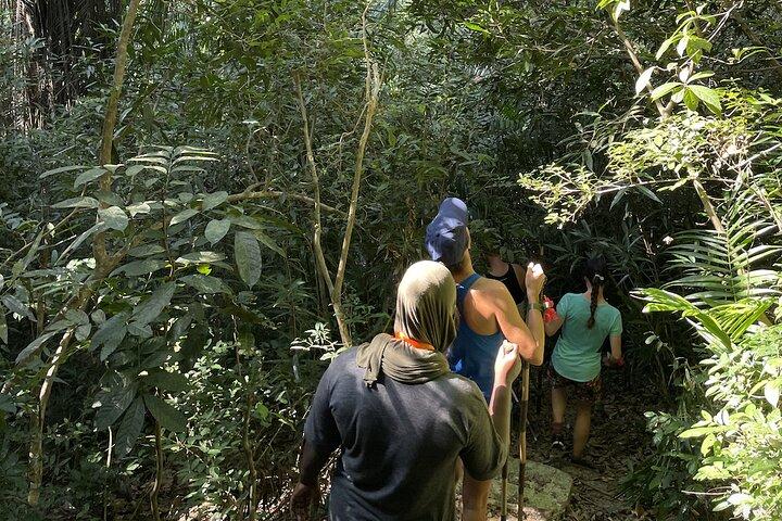Private Hiking in Masingini Forest from Stone Town