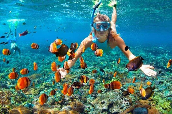 Private 11 Days 10 Nights Egypt Holiday Travel To Cairo Aswan Luxor & Hurghada