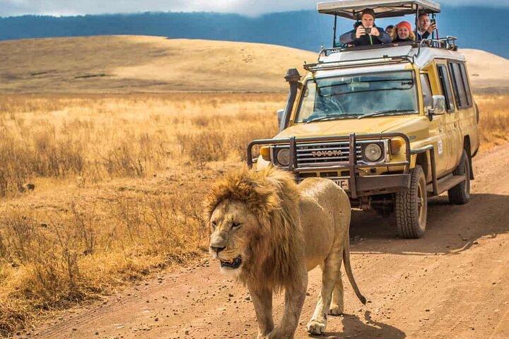 4 Days Group Joining Camping Tanzania safari