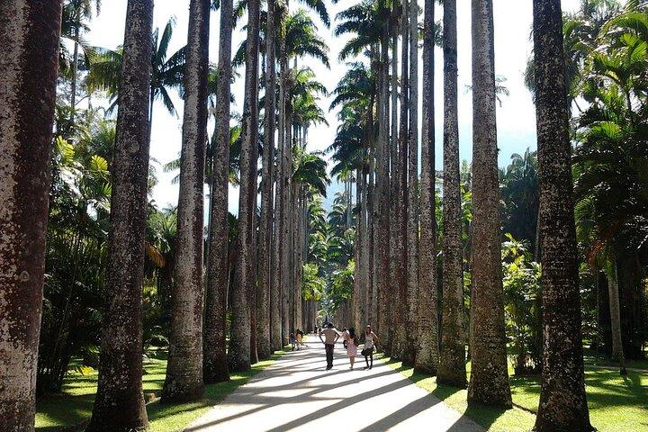 Rio de Janeiro Day Tour with Lunch