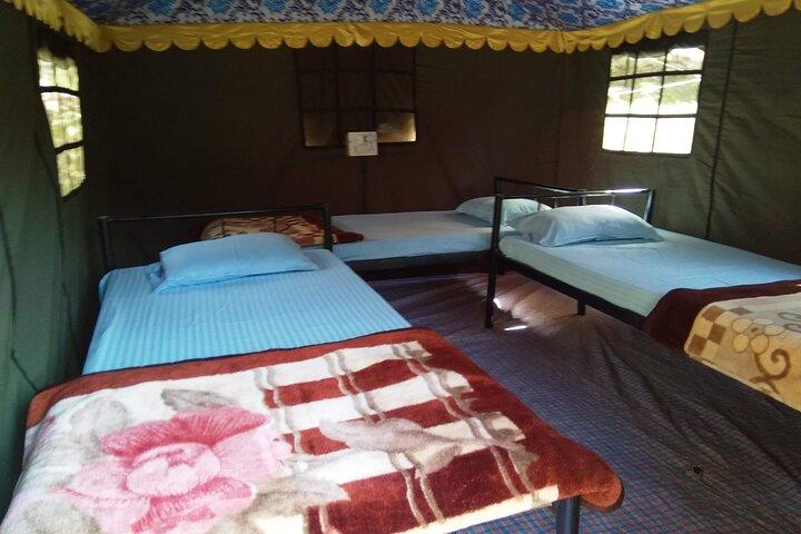 Camping in Rishikesh - 1N 2D