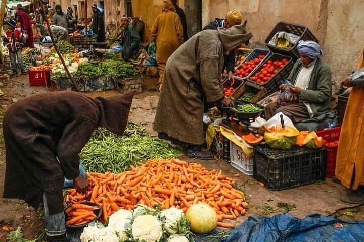 Atlas Mountains Tour With a Guide from Marrakech