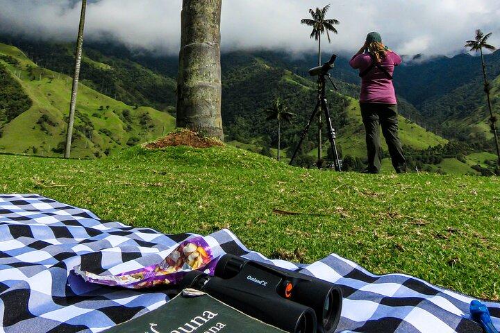 Cocora Valley: Birding & Hiking with Breakfast & Lunch