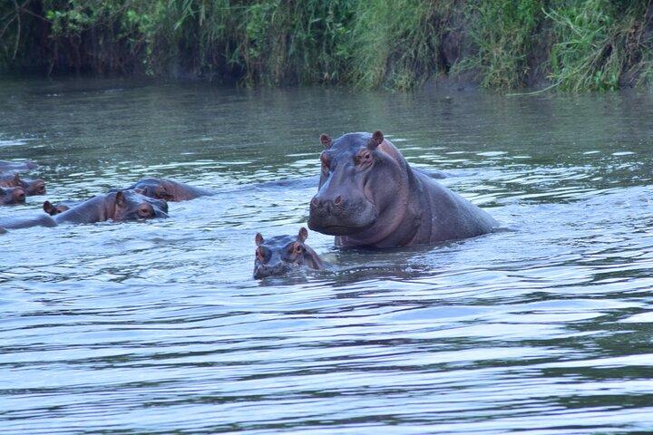 4 Days Tanzania Budget Group Join Safari- Serengeti & Ngorongoro