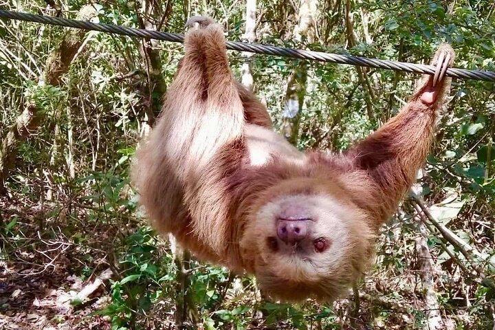 Zip Line, Rappel, Hiking La Carpintera Tour in San Jose