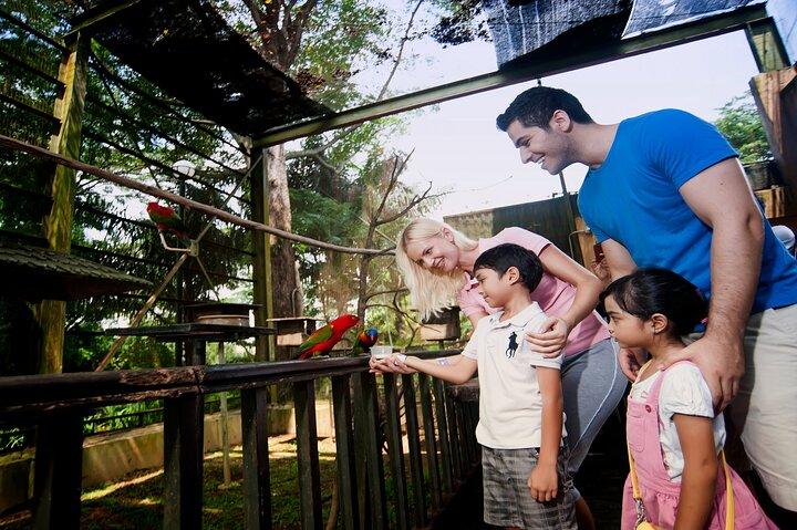 Kuala Lumpur Private Half-Day Family Tour of Nature, Birds and Butterflies