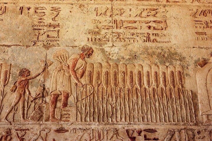 Day Tour to Al Meneya l Tel Alamarna and Beni Hassan From Cairo