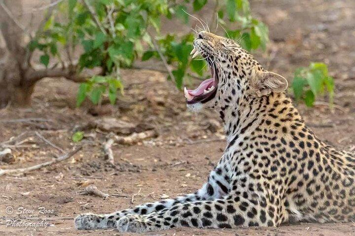 4-Day Safari to Tarangire ,Serengeti and Ngorongoro crater from Arusha