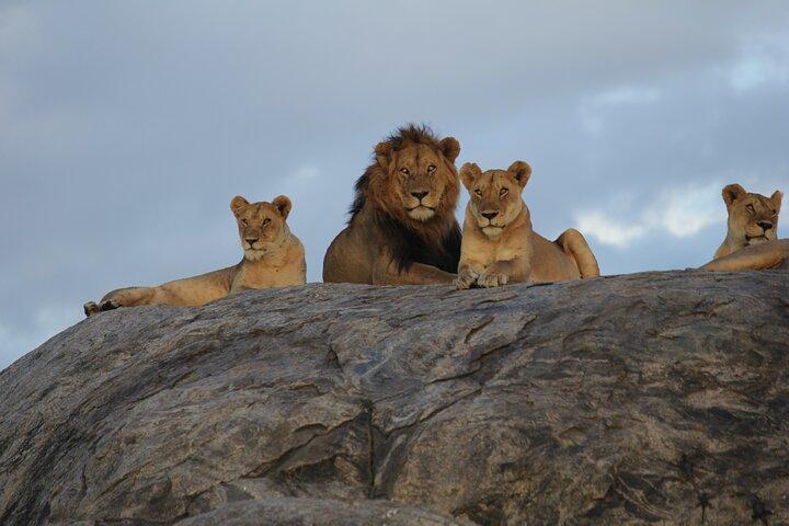 Lake Manyara, Serengeti & Ngorongoro Crater