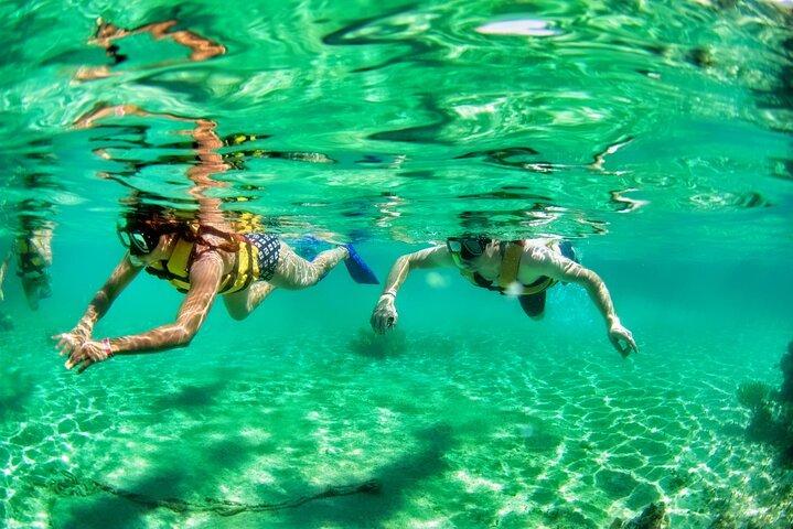 Speedboat across the Mangroves & Snorkel with Jet Ski Rental