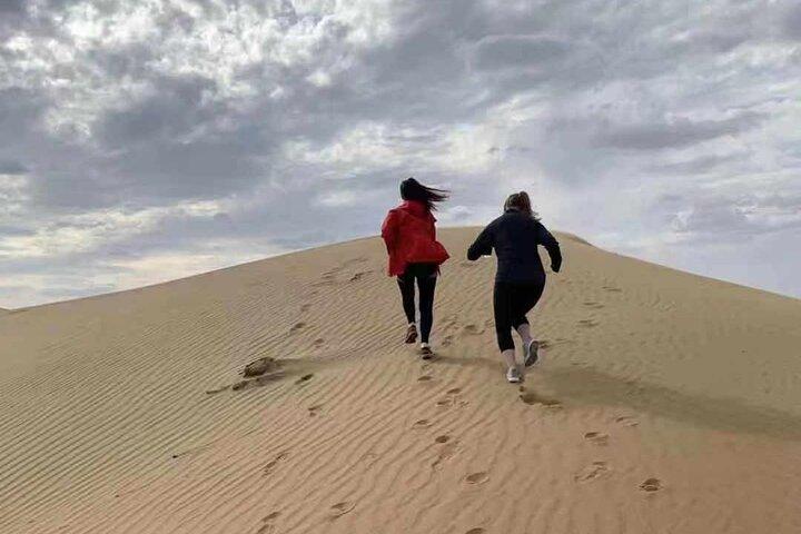 Private Day Tour to Kubuqi Desert from Hohhot with Pick Up