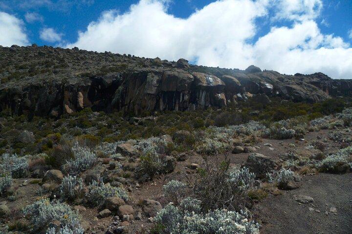 6-Day Kilimanjaro Marangu Climb